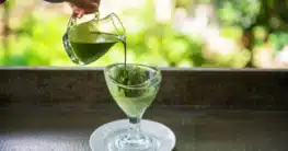 Grüner Tee